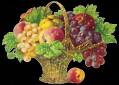 <b>Категории: </b>Ягоды, фрукты <br><b>Размеры:</b> 500x358, 205.9 Кб