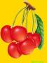 <b>Категории: </b>Ягоды, фрукты <br><b>Размеры:</b> 240x320, 174.6 Кб