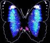 <b>Категории: </b>Бабочки <br><b>Размеры:</b> 410x353, 146.6 Кб