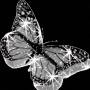<b>Категории: </b>Бабочки <br><b>Размеры:</b> 200x200, 45.9 Кб